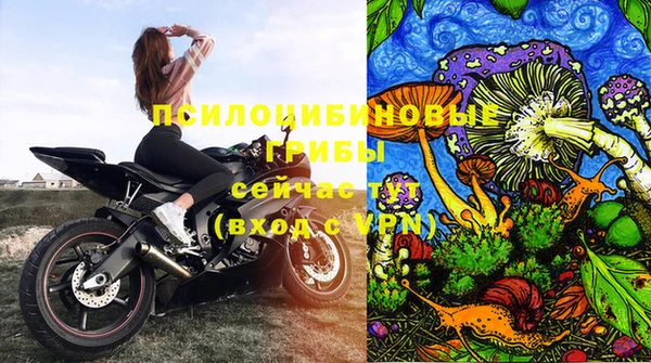 крисы Абаза