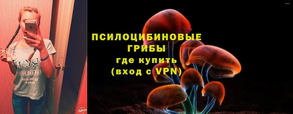прущие крисы Абинск