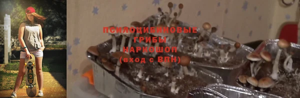прущие крисы Абинск