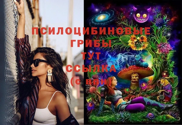 крисы Абаза