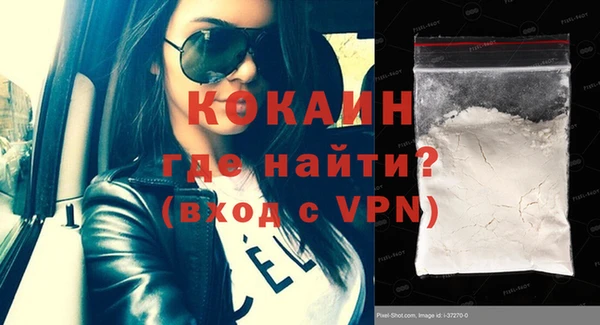крисы Абаза