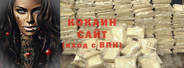 крисы Абаза