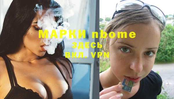 крисы Абаза